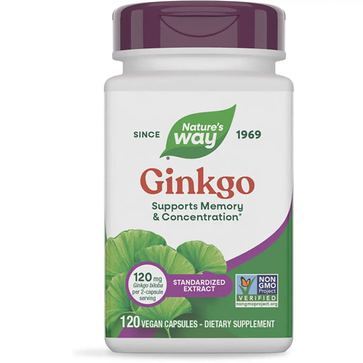Ginkgo