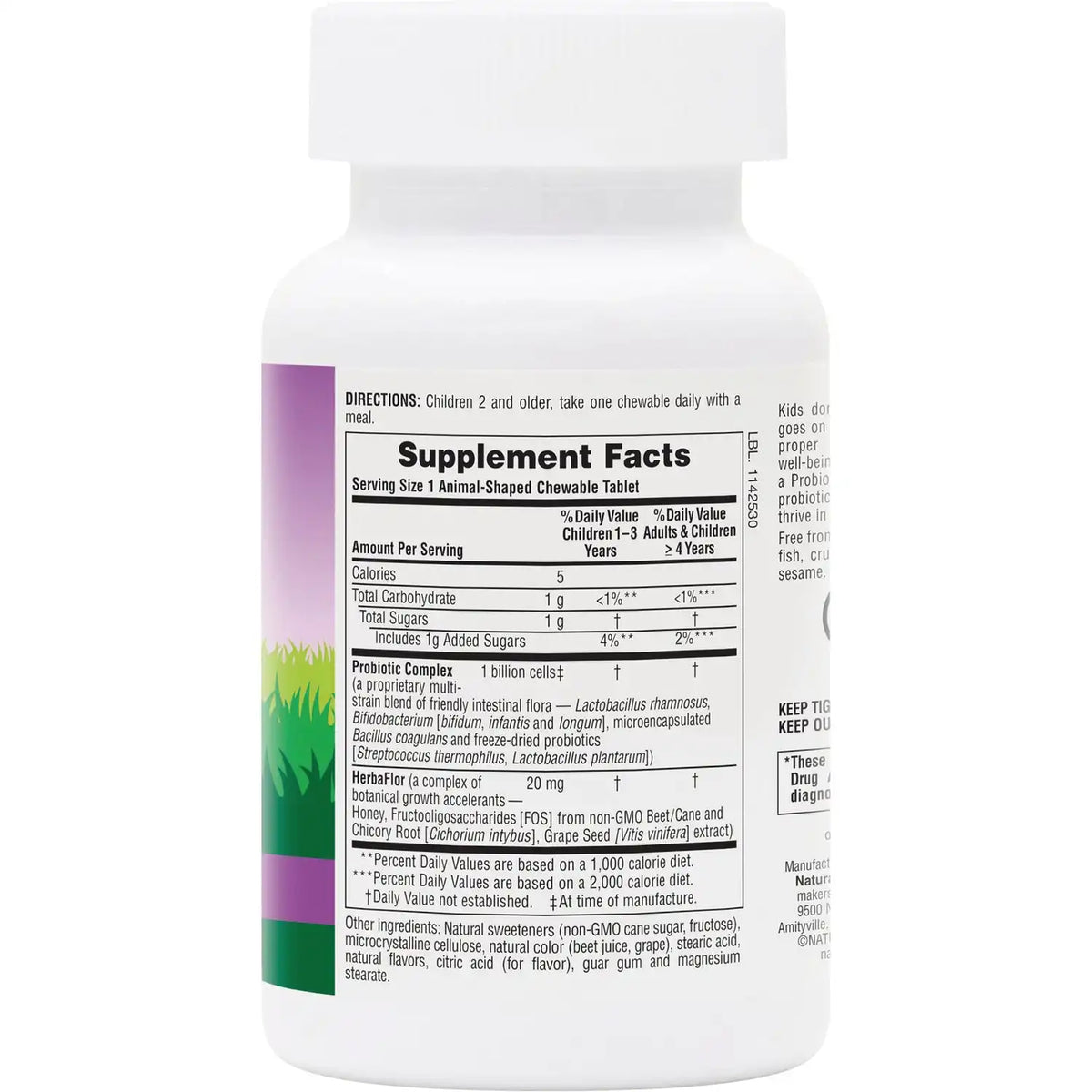 Animal Parade AcidophiKidz Children's Chewable Probiotic - Berry