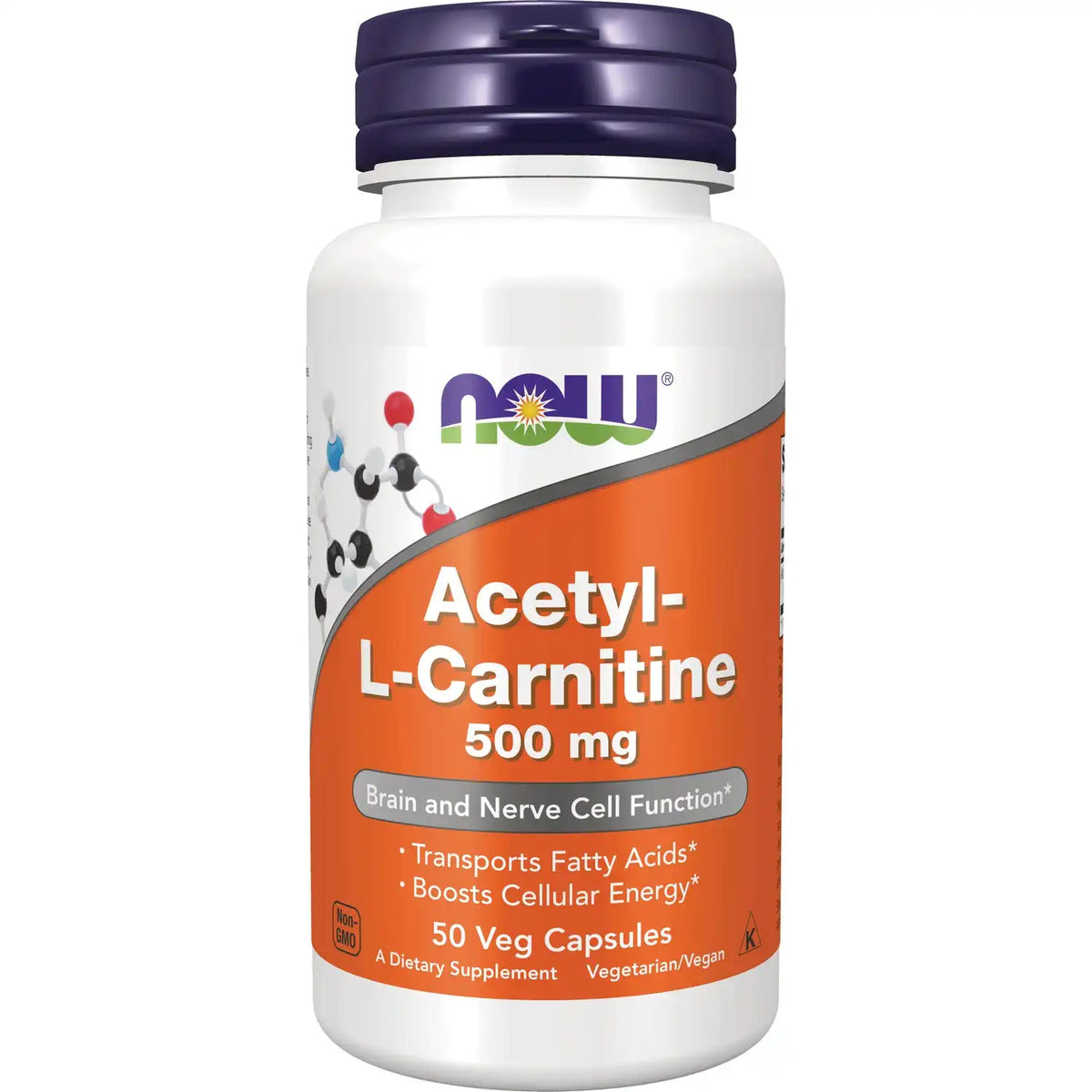 Acetyl L-Carnitine