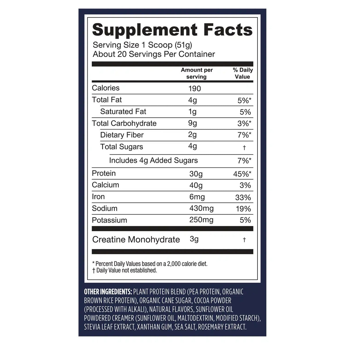 Protein + Creatine - Creamy Chocolate