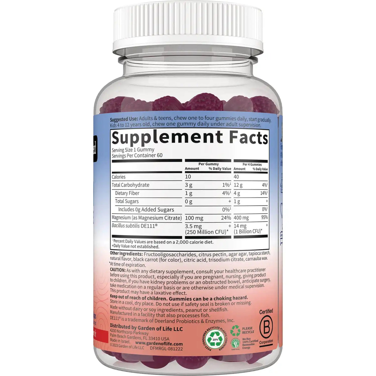 Magnesium with Pre & Probiotics Gummies - Raspberry